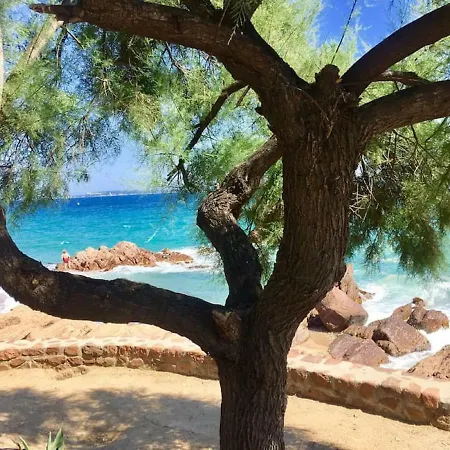 Zen Sea View In Front X2 Pools-ac-clim-wifi-free Parking Inside Appartement *