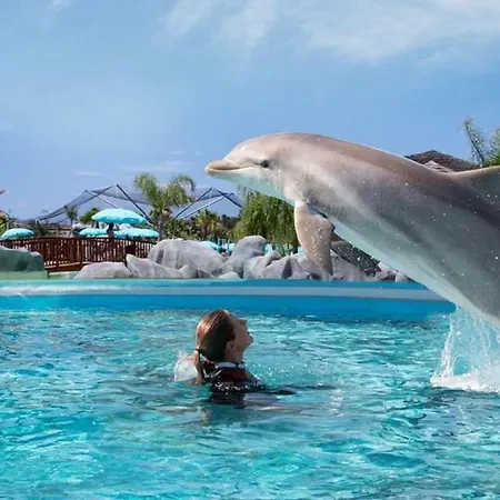 Daire Zen Sea View In Front X2 Pools-ac-clim-wifi-free Parking Inside