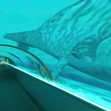 Zen Sea View In Front X2 Pools-ac-clim-wifi-free Parking Inside